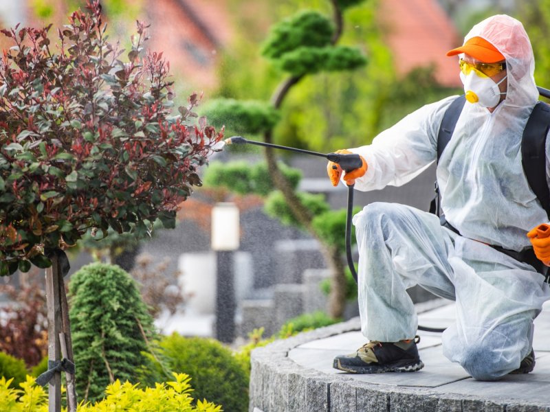 Seyrekköy Haşere İlaçlama